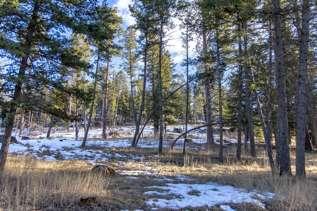 115 Shawwood Lane, Kalispell, MT 59901 photo 53