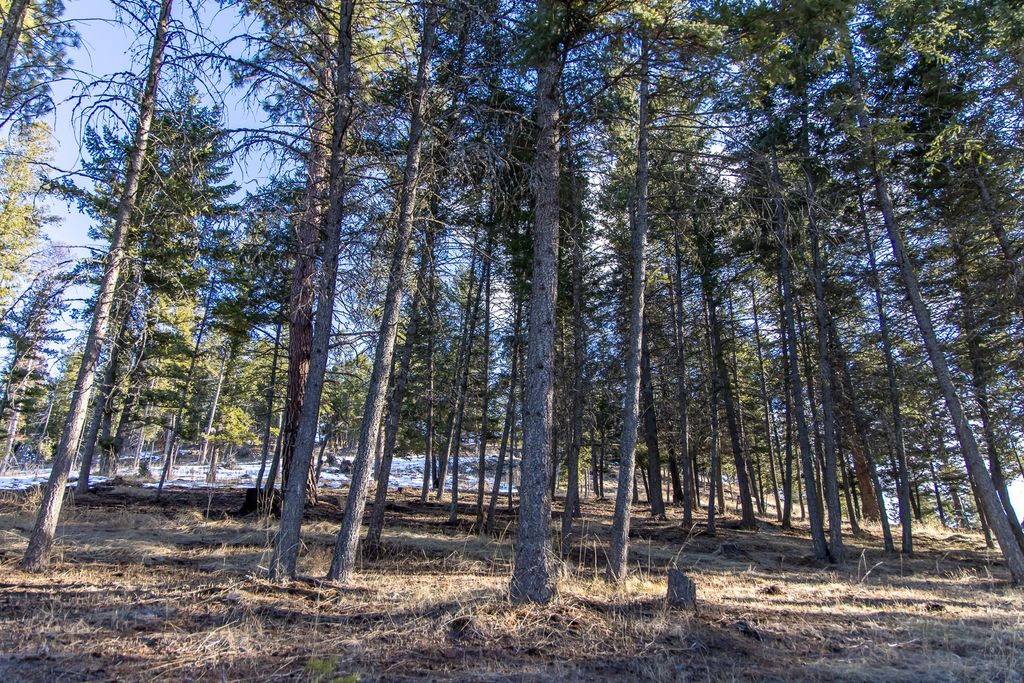 115 Shawwood Lane, Kalispell, MT 59901 photo 56