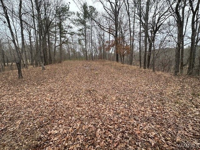 65 Jasmine Forest, Wetumpka, AL 36092