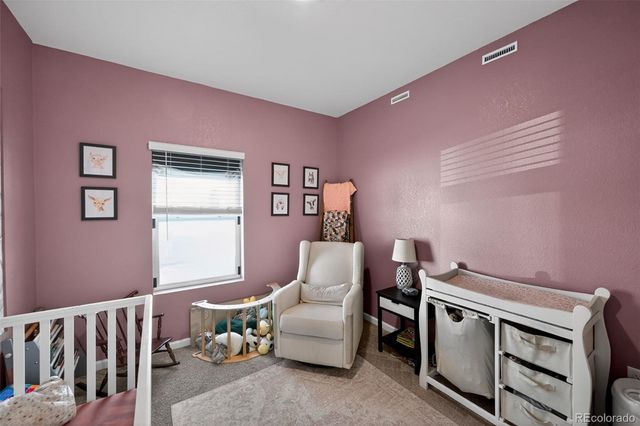 3042 Nectar Street, Strasburg, CO 80136