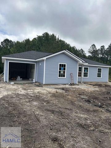 1766 George Swindell Road NE, Ludowici, GA 31316