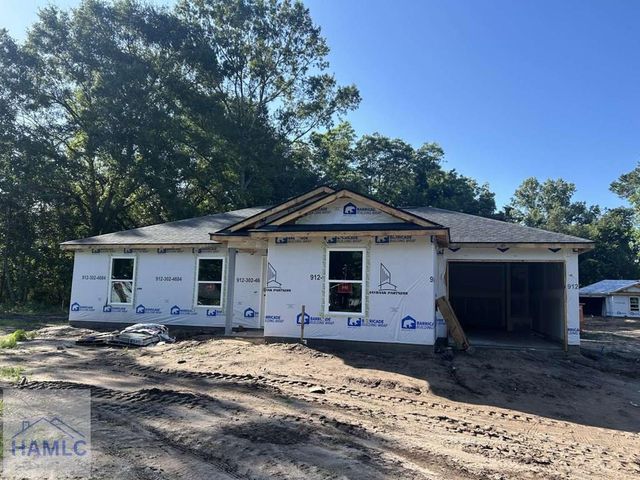 1766 George Swindell Road NE, Ludowici, GA 31316