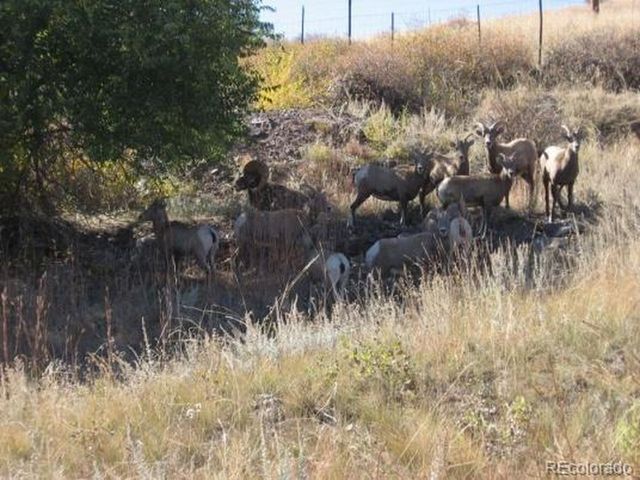 3005 N County Road 29, Loveland, CO 80538