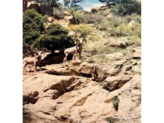 3005 N County Road 29, Loveland, CO 80538