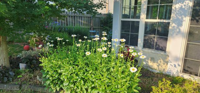 104 Bronte Place, Georgetown, KY 40324