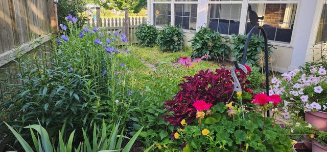 104 Bronte Place, Georgetown, KY 40324