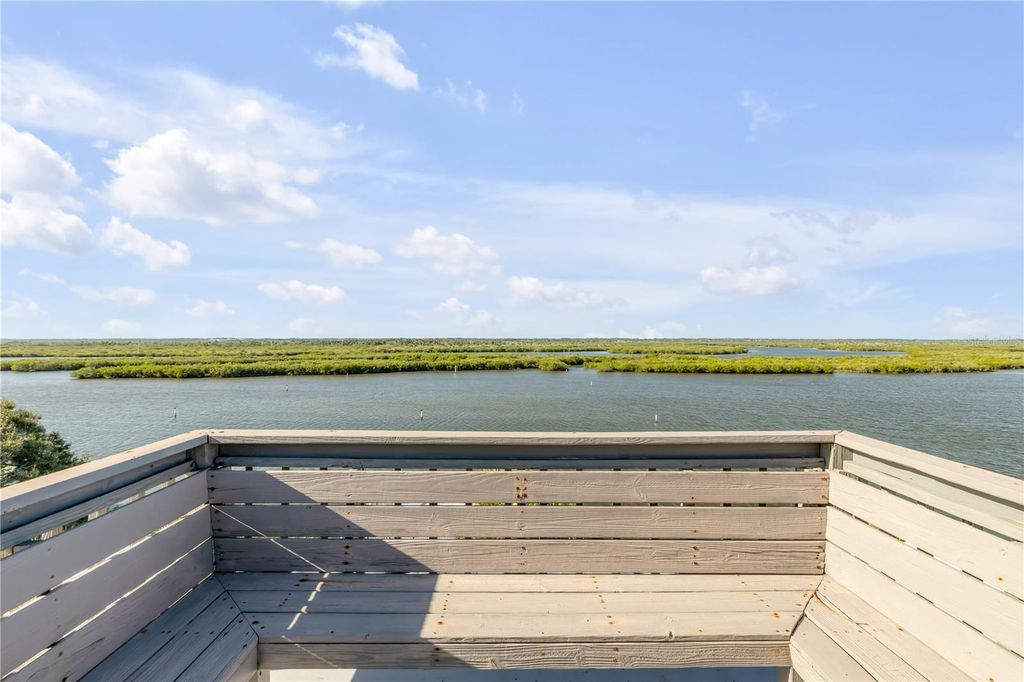 Image 78 of property listing at 824 EEL AVENUE, New Smyrna Beach, FL 32169