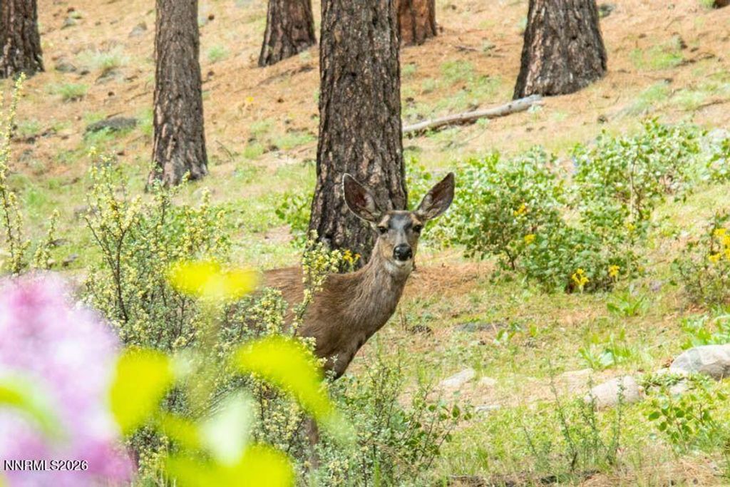 Image 44 of property listing at 224 S Earlham Court, Reno, NV 89511