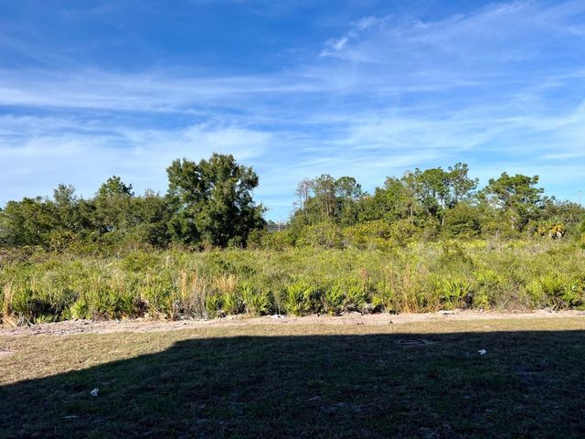 4501 BURROWING OWL LOOP, St Cloud, FL 34772