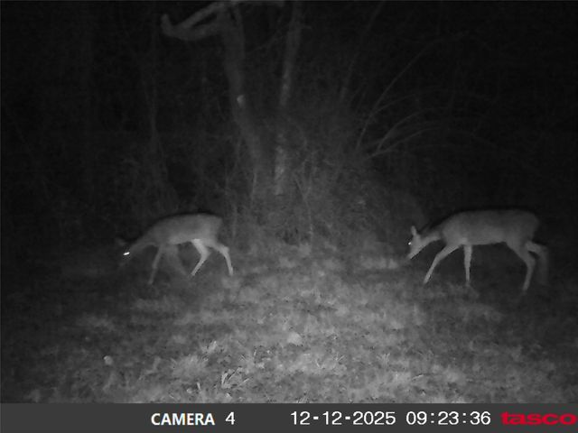 13550 County Road 2919, Eustace, TX 75124