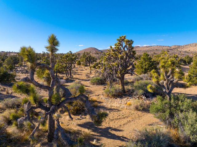 1102 Burlington Road, Pioneertown, CA 92268