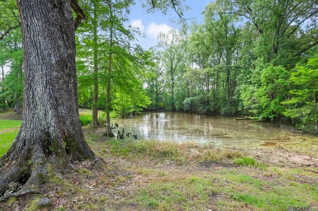 11110 N Wakefield Dr, St Francisville, LA 70775