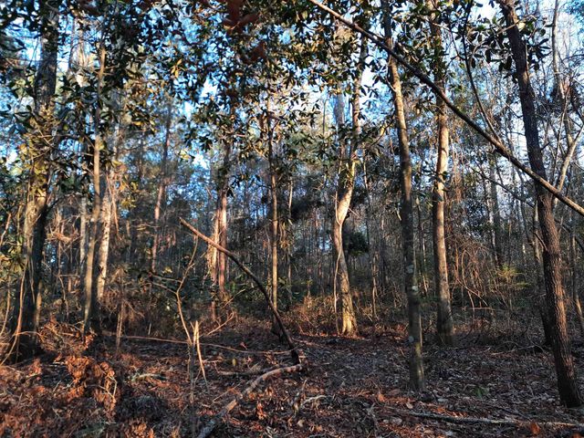 000 Flamingo Court none, Monticello, FL 32344