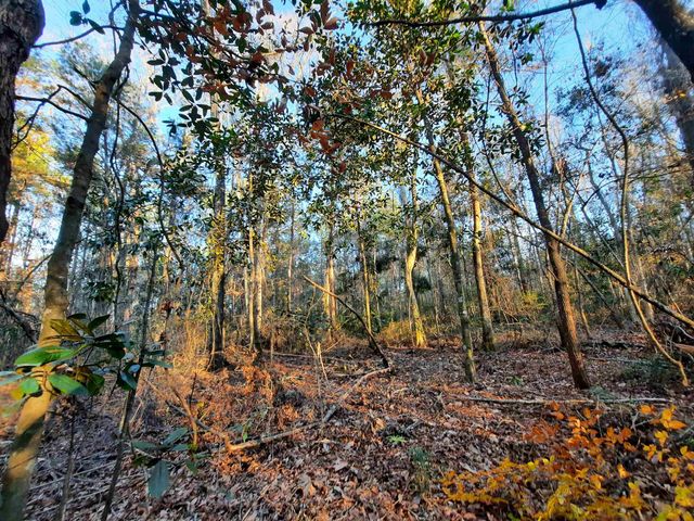 000 Flamingo Court none, Monticello, FL 32344