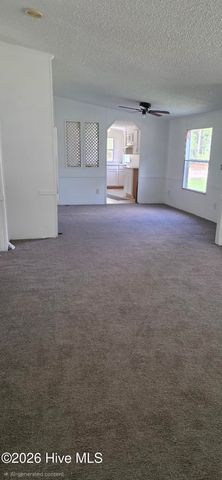 120 Amber Road, Hamlet, NC 28345