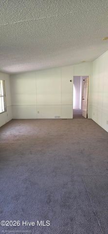 120 Amber Road, Hamlet, NC 28345
