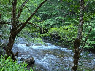 10777 Caves Highway, Cave Junction, OR 97523