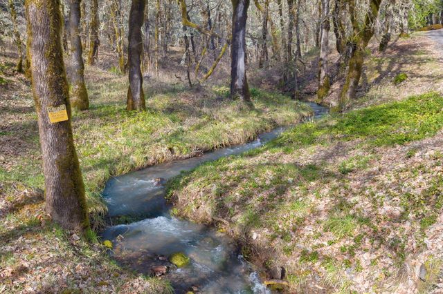 11260 Redwood Highway, Wilderville, OR 97543