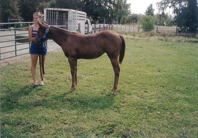 23848 Springwood Way, Millville, CA 96062