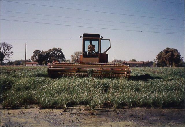 23848 Springwood Way, Millville, CA 96062