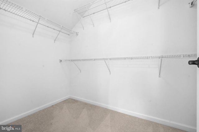 2341 SWEET PEPPERBRUSH LOOP, Dumfries, VA 22026