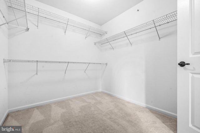 2341 SWEET PEPPERBRUSH LOOP, Dumfries, VA 22026