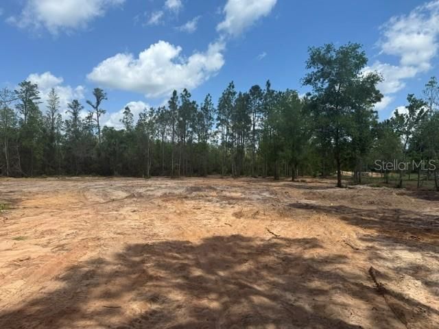 6123 OIL WELL ROAD, Clermont, FL 34714