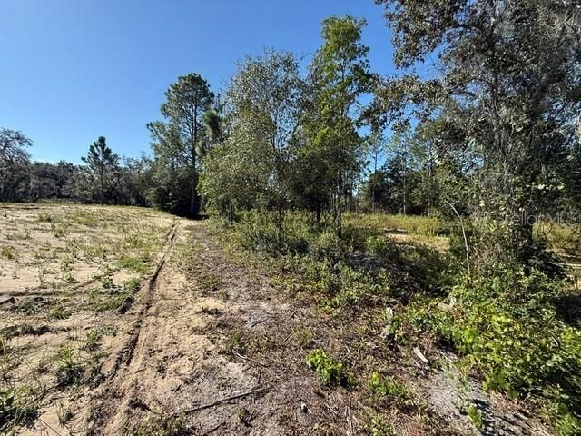 6123 OIL WELL ROAD, Clermont, FL 34714