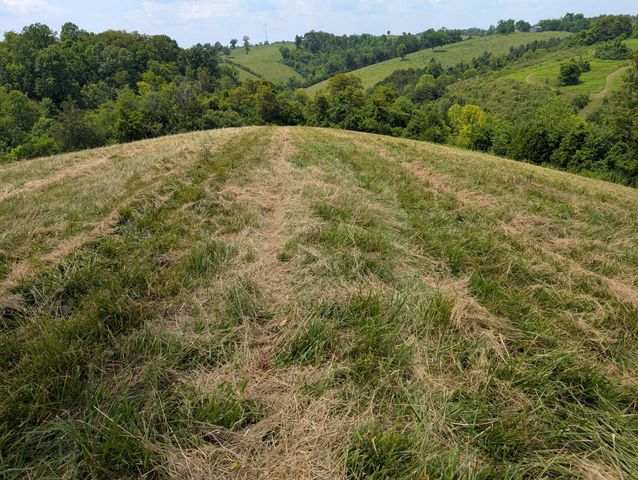 534 Maple Grove Road, Richmond, KY 40475