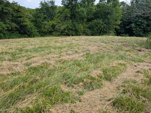 534 Maple Grove Road, Richmond, KY 40475