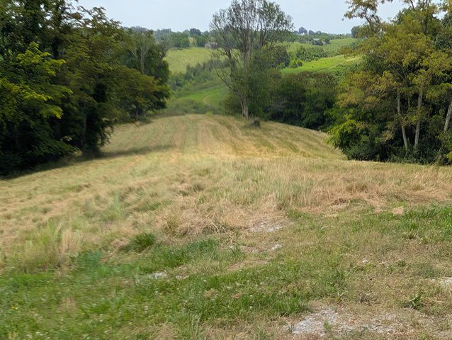 534 Maple Grove Road, Richmond, KY 40475