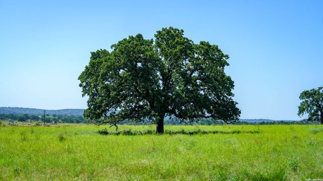 9978 hay spring, Fredonia, TX 76842