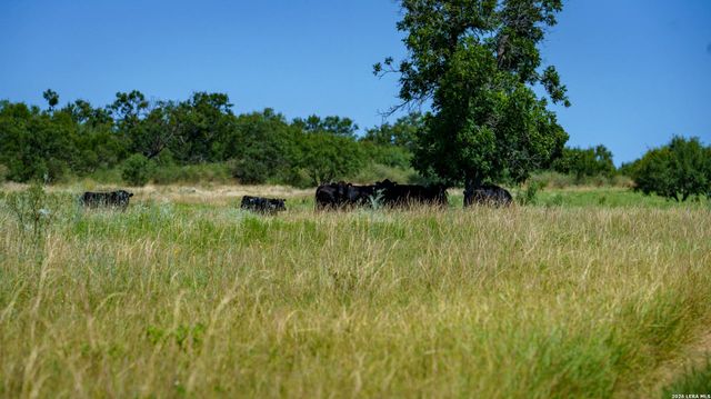 9978 hay spring, Fredonia, TX 76842