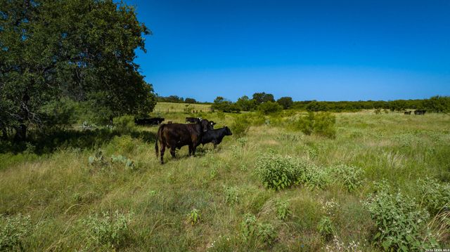 9978 hay spring, Fredonia, TX 76842