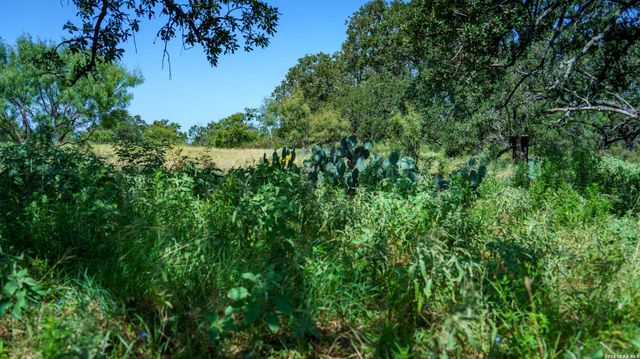 9978 hay spring, Fredonia, TX 76842