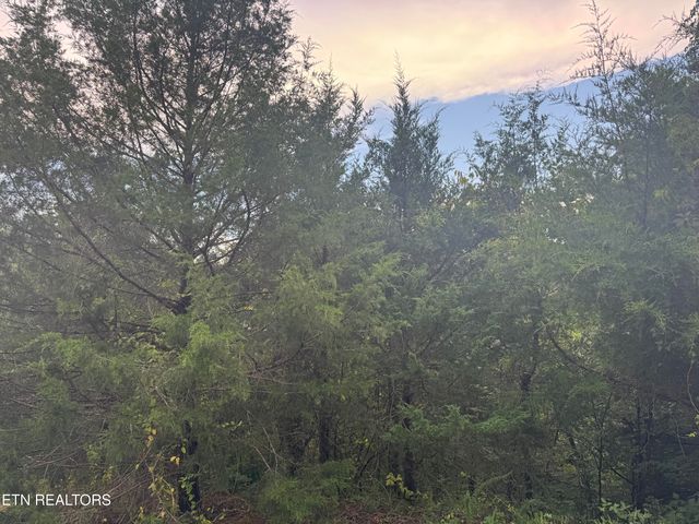 Eagle Feather Drive, Sevierville, TN 37876