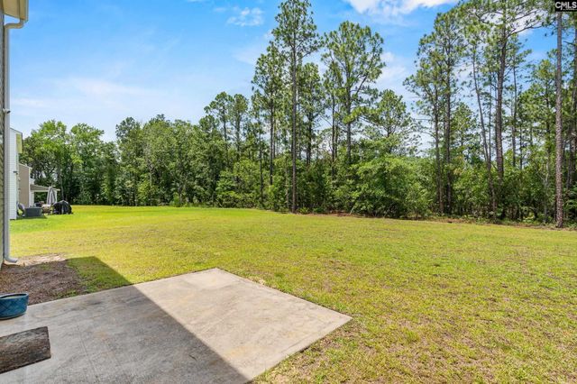 117 Heather Ridge Drive, Gaston, SC 29053
