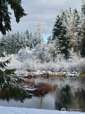 16719 14th Avenue Ct S, Spanaway, WA 98387