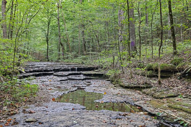 1010 Wren Ct, Kingston Springs, TN 37082