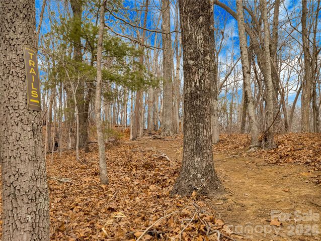 184 Deep Woods Lane, Saluda, NC 28773