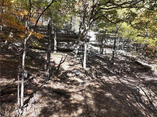 TBD Tract 3 Dam Site Loop, Garfield, AR 72732