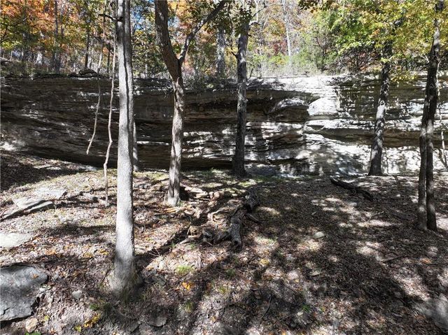 TBD Tract 3 Dam Site Loop, Garfield, AR 72732