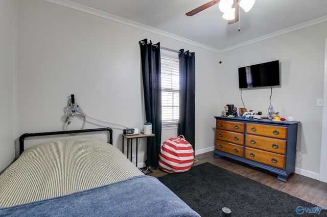 835 County Road 229, Moulton, AL 35650