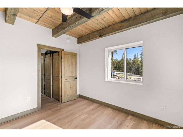 141 N Aspen St, Alma, CO 80420