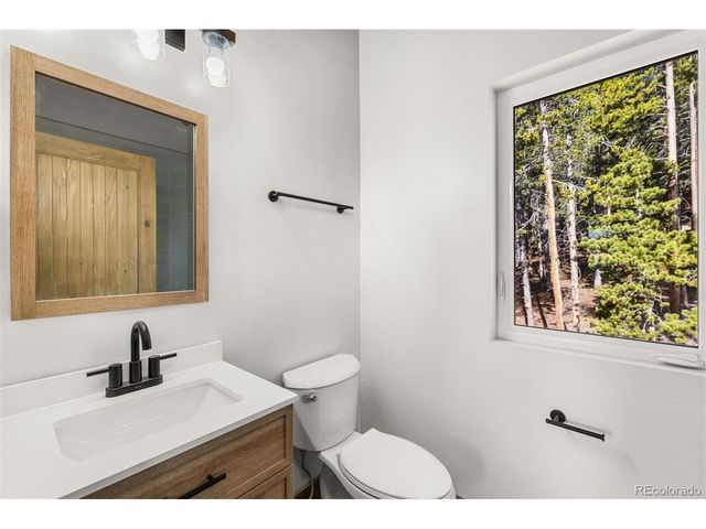 141 N Aspen St, Alma, CO 80420