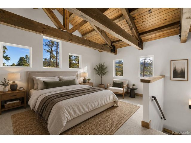 141 N Aspen St, Alma, CO 80420