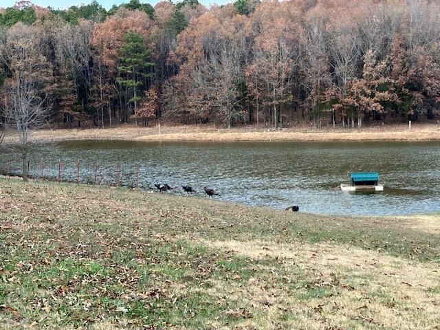 199 Finney Road, Batesville, AR 72501