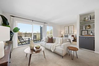 833 N Humboldt Street 504, San Mateo, CA 94401