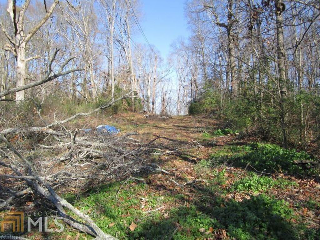 1000 N 9 Street, Griffin, GA 30223