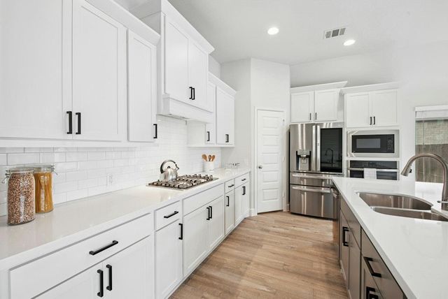 16705 Christina Garza DR, Manor, TX 78653